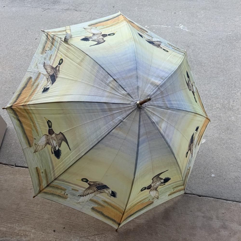 Vintage 1992 Salamander Graphix Mallard Duck Umbrella Watercolor Art Stick Wood